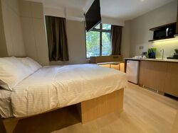Mount Elizabeth Link (D9), Condominium #606374621